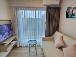 1 Bedroom Condo for rent at Phyll Phuket by Central Pattana, Wichit