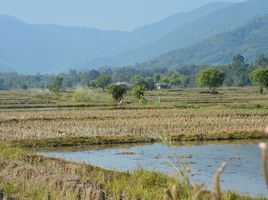  Grundstück zu verkaufen in Mueang Chiang Rai, Chiang Rai, Nang Lae, Mueang Chiang Rai, Chiang Rai