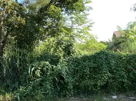  Land for sale in Udon Thani International Airport, Na Di, Nong Khon Kwang