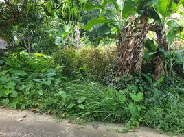  Land for sale in Namtok Ton Ao Yon, Wichit, Wichit