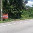  Land for sale in Narathiwat, Tanyong Mat, Ra-Ngae, Narathiwat