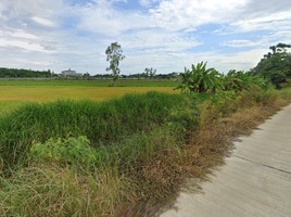 在大城出售的 土地, Don Ya Nang, Phachi, 大城