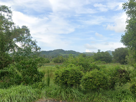  Grundstück zu verkaufen in Thalang, Phuket, Thep Krasattri