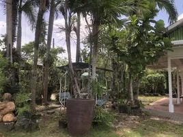 1 Bedroom Shophouse for rent in Thalang, Phuket, Choeng Thale, Thalang