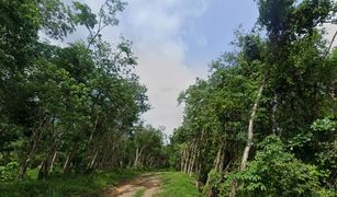 N/A Land for sale in Choeng Thale, Phuket 