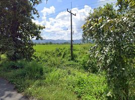  Земельный участок for sale in Chun, Phayao, Huai Yang Kham, Chun