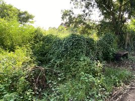  Land for sale in Mueang Udon Thani, Udon Thani, Nong Khon Kwang, Mueang Udon Thani