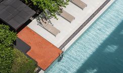 사진들 3 of the Communal Pool at Quintara Treehaus Sukhumvit 42