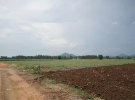  Land for sale in Saraburi, Wang Muang, Wang Muang, Saraburi