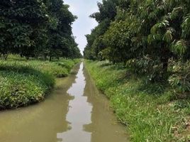  Grundstück zu verkaufen in Nong Suea, Pathum Thani, Sala Khru, Nong Suea