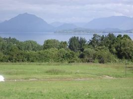  Land for sale in Futrono, Ranco, Futrono