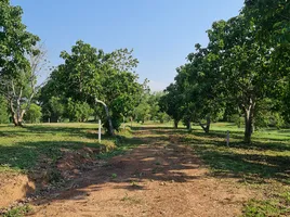  Земельный участок for sale in Таиланд, Huai Sak, Mueang Chiang Rai, Чианг Рай, Таиланд