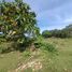  Land for sale in Badung Bali, Kuta