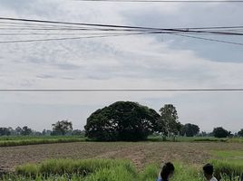  Land for sale in Phu Khiao, Chaiyaphum, That Thong, Phu Khiao