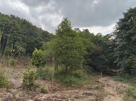  Land for sale in Ko Pha-Ngan, Surat Thani, Ko Pha-Ngan, Ko Pha-Ngan