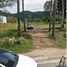  Land for sale in Phuket, Karon, Phuket Town, Phuket