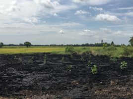 Land for sale in Phrommani, Mueang Nakhon Nayok, Phrommani
