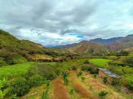 Land for sale in Quinara, Loja, Quinara