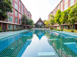2 Schlafzimmer Wohnung zu vermieten im D Vieng Santitham, Chang Phueak