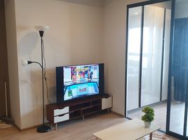 1 Bedroom Apartment for rent at Ideo Rama 9 - Asoke, Huai Khwang