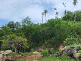  Land for sale in Surat Thani, Bo Phut, Koh Samui, Surat Thani