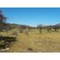  Land for sale at Casablanca, Maria Pinto, Melipilla