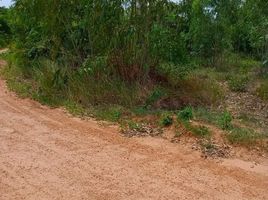  Земельный участок for sale in Chaiyaphum, Ban Lao, Mueang Chaiyaphum, Chaiyaphum