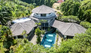 5 Schlafzimmern Villa zu verkaufen in Rawai, Phuket 