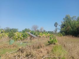 ขายที่ดิน ใน กันทรวิชัย มหาสารคาม, ศรีสุข, กันทรวิชัย, มหาสารคาม, ไทย