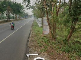  Grundstück zu verkaufen in Mae Lao, Chiang Rai, Bua Sali, Mae Lao, Chiang Rai