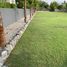  Land for sale in Klaeng, Rayong, Klaeng, Mueang Rayong