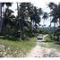  Land for sale in the Dominican Republic, Gaspar Hernandez, Espaillat, Dominican Republic