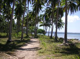  Land for sale in the Philippines, Quezon, Palawan, Mimaropa, Philippines
