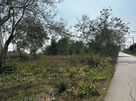  Land for sale in Wang Phong, Pran Buri, Wang Phong