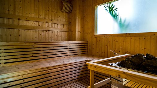 Фото 1 of the Sauna at City Garden Tropicana