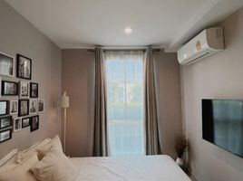 1 Schlafzimmer Appartement zu verkaufen im Plum Condo Chokchai 4, Lat Phrao, Lat Phrao