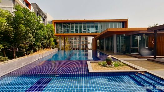 Fotos 1 of the Communal Pool at Serrano Condominium Rama II