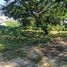  Land for sale in Phu Doi Market, Nong Chom, Nong Chom