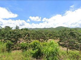  Land for sale in Mae Tha, Lamphun, Tha Sopsao, Mae Tha