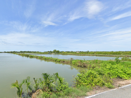  Grundstück zu verkaufen in Phra Samut Chedi, Samut Prakan, Ban Khlong Suan