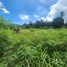  Land for sale in Phuket, Chalong, Phuket Town, Phuket