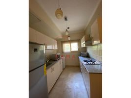 1 Bedroom Apartment for rent at The Village, South Investors Area