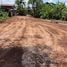  Land for sale in Phitsanulok, Wat Bot, Wat Bot, Phitsanulok