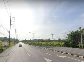  Grundstück zu verkaufen in Thap Put, Phangnga, Bo Saen