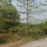  Grundstück zu verkaufen in Thong Pha Phum, Kanchanaburi, Hin Dat, Thong Pha Phum