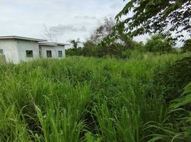  Grundstück zu verkaufen in Mueang Chon Buri, Chon Buri, Na Pa