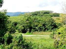  Land for sale in Thalang, Phuket, Thep Krasattri, Thalang