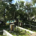 ฟอร์เรส ฮิลล์