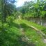  Land for sale in Phuket, Si Sunthon, Thalang, Phuket