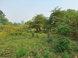  Земельный участок for sale in Chiang Dao Чианг Маи, Чианг Дао